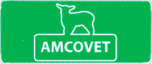 Наші партнери